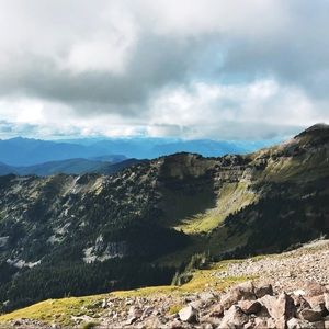 Meet your Posher, Sydney